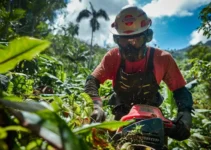 Desbrozadoras y su eficacia en el control de especies invasoras