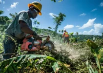 Desbrozadoras, herramienta esencial en la construcción